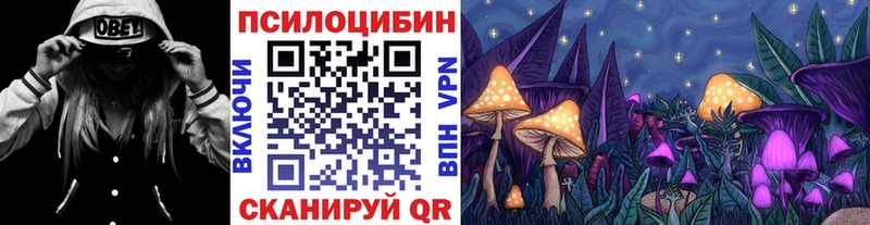 Псилоцибиновые грибы Psilocybine cubensis  Ленинградская 
