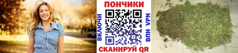Каннабис семена  ОМГ ОМГ ссылки  Ленинградская  дарнет шоп 